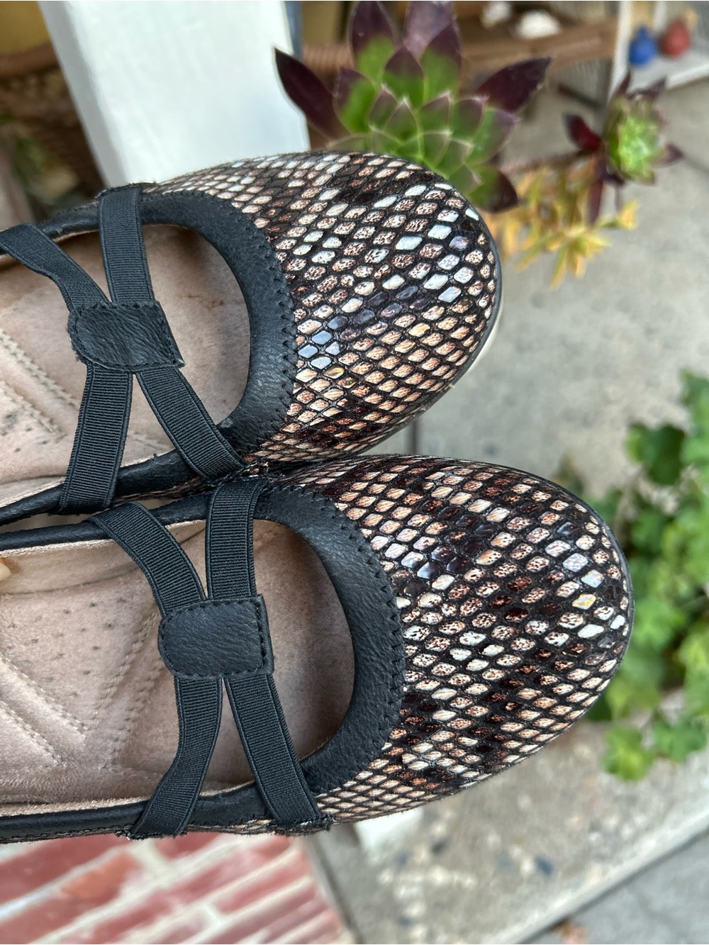 Naturalizer snake print flats